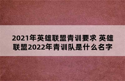 2021年英雄联盟青训要求 英雄联盟2022年青训队是什么名字